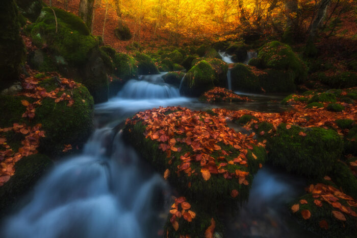 Taller de fotografía de otoño | Riaño